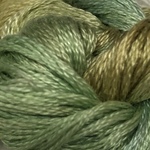 0801 Salvia 8