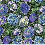 Kaffe Fassett - Fat Quarter - Dorothy PWPJ109 Contrast