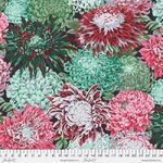 Japanese Chrysanthemum PWPJ041 Blush