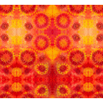 Happy Blooms - PWSP051 Sunburst- Flame
