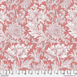 Chrysanthemum Tonal - Coral