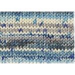 Nordica Print 8 Ply/DK 1354