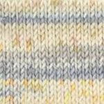 Nordica Print 8 Ply/DK 1353