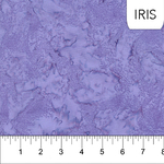 Shadows - Iris - 81300-83