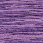 WDW 2020 Amethyst