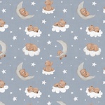 Skyward Dreams Col. 103 Teddies Blue Grey