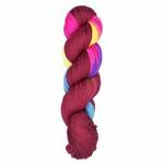 Araucania Huasco Sock Prism Paints 3007 Kaleidoscope
