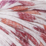 Malibu Plus Mercerized Cotton 10 Ply 101 Red / Lilac / Orange