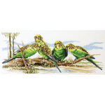 Budgie Buddies FJ01022