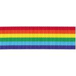 Ribbon Rainbow 25mm