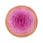 Birch Yarn Ombre Yarn - Lantana