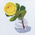 Nicola Woodcock Australian Native Flowers – Green Protea