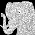 Velvet Poster Art - Elephant