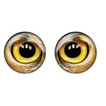 Toy Eyes 14mm Owl - Gold (pair)