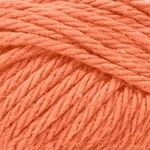 Fiddlesticks Finch 10 Ply - 6228 Tangelo