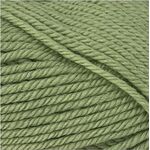 Peppin 8 829 Leaf