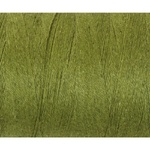 Ashford Cottolin 8/2 200g Cone -822 Cedar Green