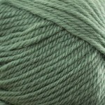 Loyal 8 Ply/DK 0979