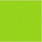 Fabric - Andover Phosphor A9354G1