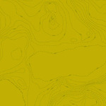 Sun Print 2023 - A556G Topography Toad