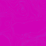 Sun Print 2023 - A556P Topography Cabbage