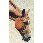  Graeme Ross Cross Stitch Chart - Appaloosa