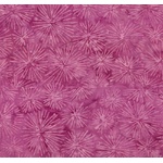 BA-2031 Pink Fireworks
