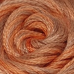 BT06