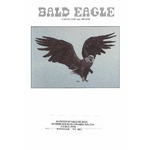  Graeme Ross Cross Stitch Chart - Bald Eagle