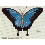  Graeme Ross Cross Stitch Chart - Blue Ulysses & Hypolimnas Bolina Nerina