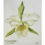 Ross Originals Cross Stitch Chart - Orchids Brassolaeliocattleya