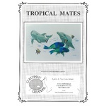 Tropical Mates - Karen Couchman