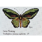 Cairns Birdwing - Ross Originals Cross Stitch Chart