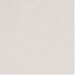 DV013 Silver Bream