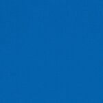 DV025 Blueberry