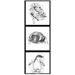 NJP Collection - Frog - Platypus - Penguin - DV3710