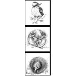 Kookaburra, Koala, and Echidna - Panel Fabric (DV3711)