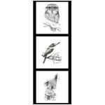 Tawny Frogmouth - Kingfisher - Koala - DV3713