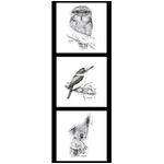 NJP Collection - Tawny Frogmouth - Kingfisher - Koala - DV3713