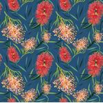 Robyn Hammond Collection DV3790
