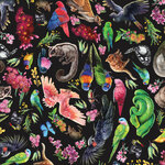 Fabric - Carlie Edwards Collection - Allover Black DV6005