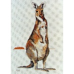  Graeme Ross Cross Stitch Chart - Eastern Grey