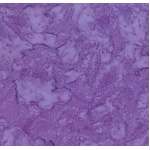 Batik Tonals - Fat Quarters - Lilac