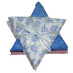 Fabric Star Pack 13