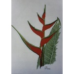  Graeme Ross Cross Stitch Chart - Heliconia 