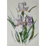  Graeme Ross Cross Stitch Chart - Iris