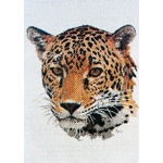  Graeme Ross Cross Stitch Chart - Jaguar 
