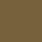 Landscapes Seasons - Cocoa