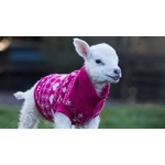 Lamb Jumper -  Knitting In The Round