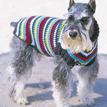 Dog Coat  Pattern - Bernat Crochet